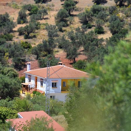 B&B Casa El Corasueno Almogía Εξωτερικό φωτογραφία