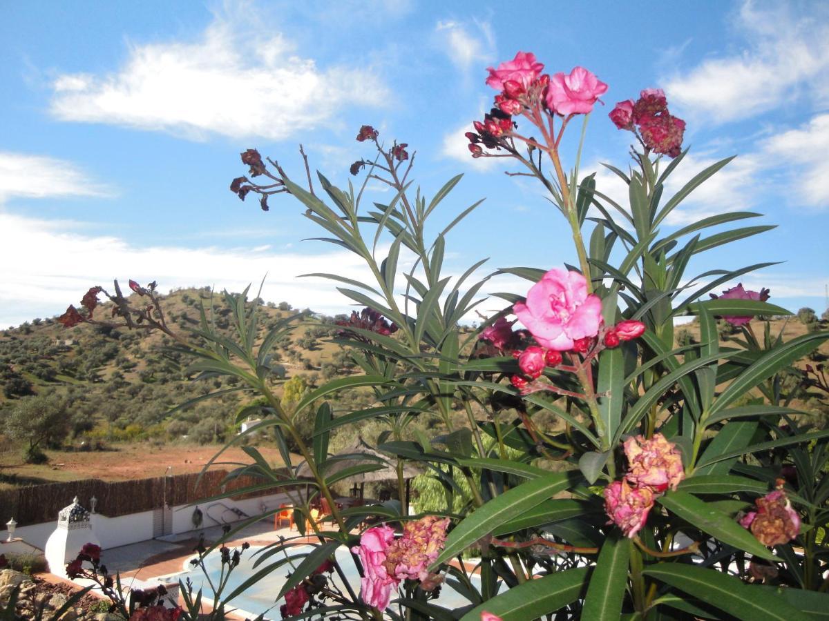B&B Casa El Corasueno Almogía Εξωτερικό φωτογραφία